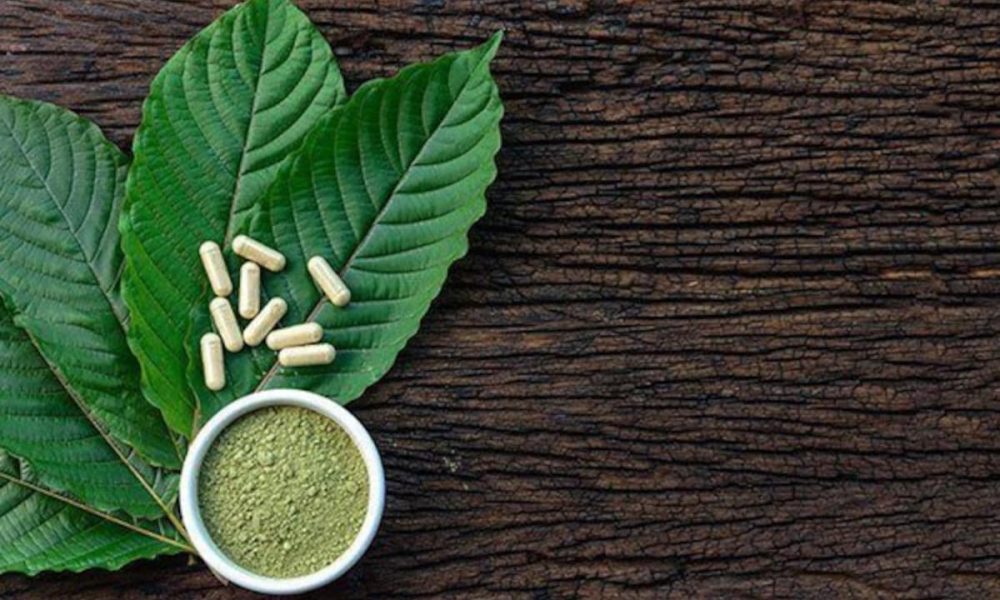 How Red Malay kratom powder can help you unwind after a long day?